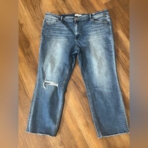 Vervet Women's Blue Distressed Cropped Jeans Size 22